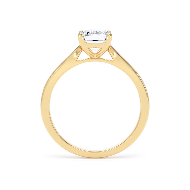 Elin Emerald Cut Engagement Ring in 9ct Yellow Gold