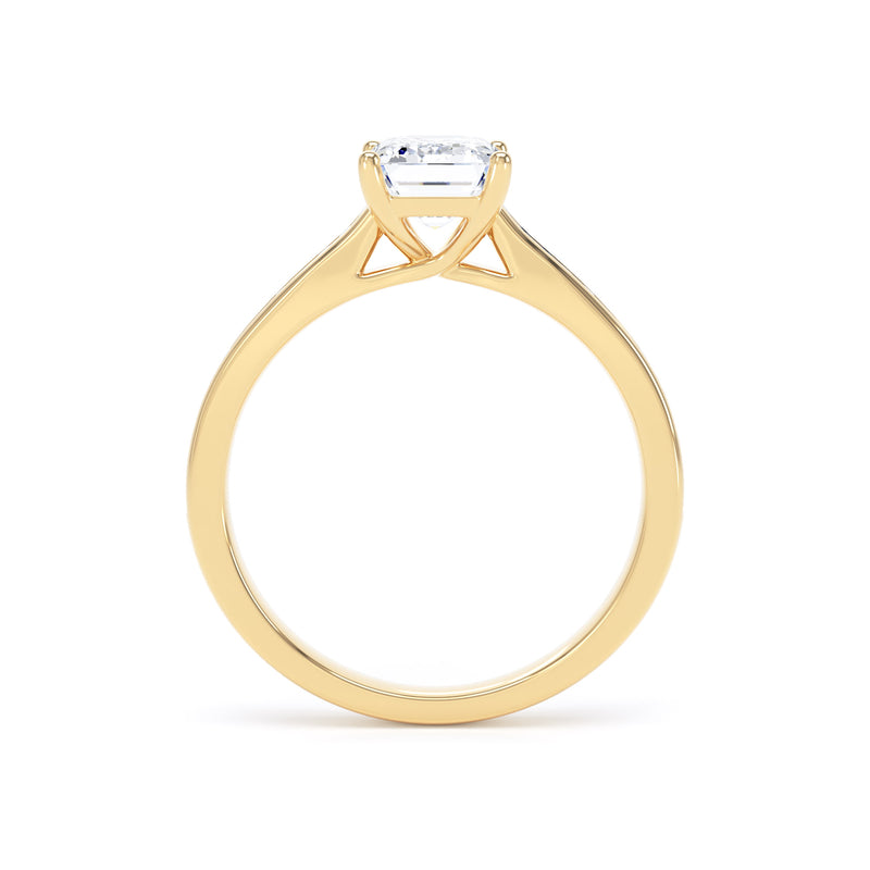 Zoe Emerald Cut Engagement Ring in 9ct Yellow Gold