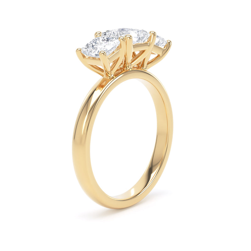 Sloane Princess Cut Engagement Ring in 9ct Yellow Gold