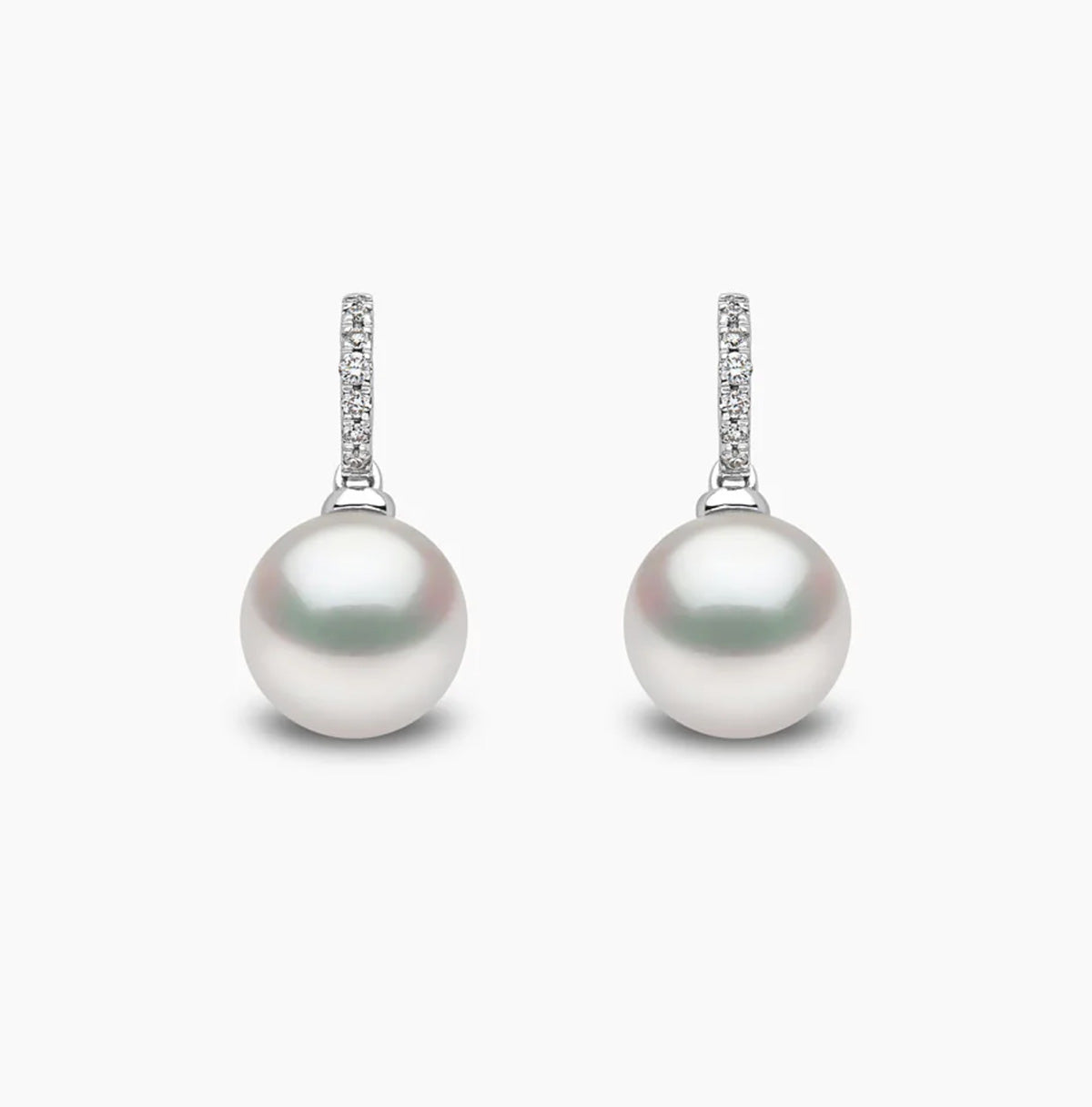 Classic 18K White Gold  Freshwater Pearl Drop Earrings