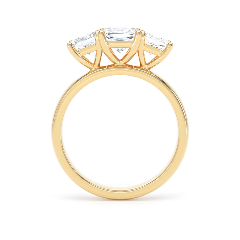 Sloane Princess Cut Engagement Ring in 9ct Yellow Gold