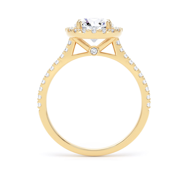 Erin Round Cut Engagement Ring in 9ct Yellow Gold